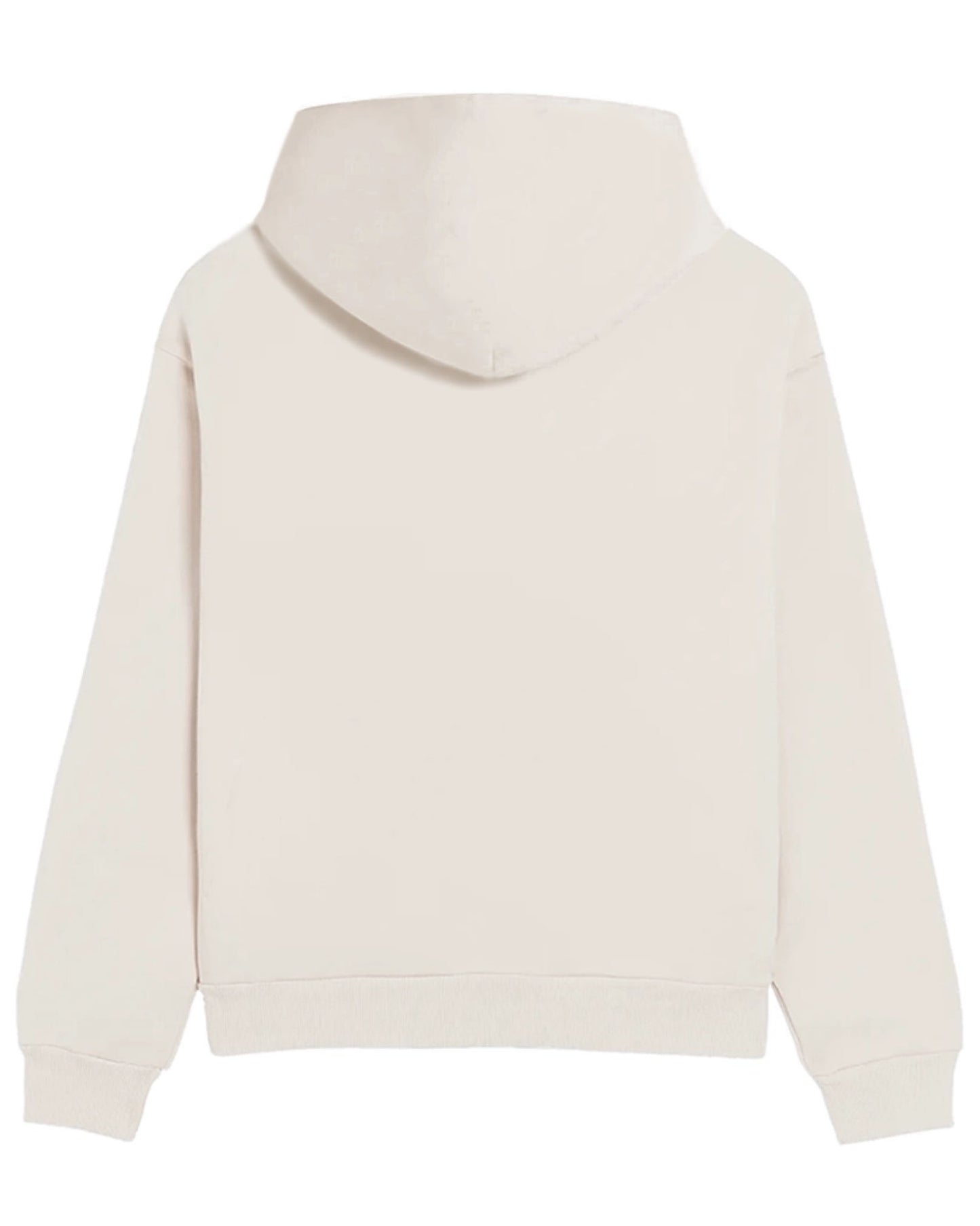Raven Bringing Light to the World Hoodie